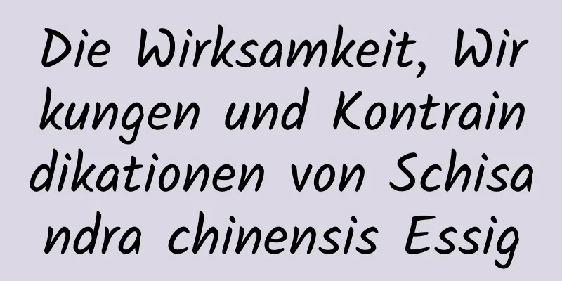 Die Wirksamkeit, Wirkungen und Kontraindikationen von Schisandra chinensis Essig