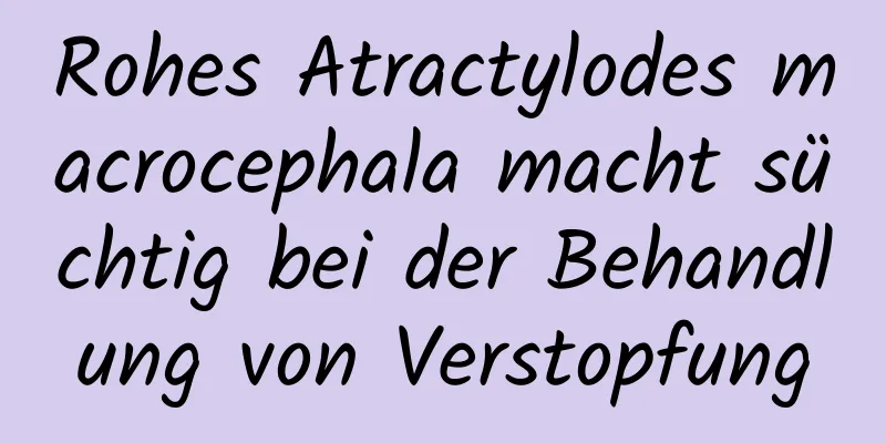 Rohes Atractylodes macrocephala macht süchtig bei der Behandlung von Verstopfung