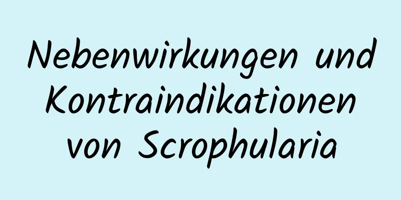 Nebenwirkungen und Kontraindikationen von Scrophularia