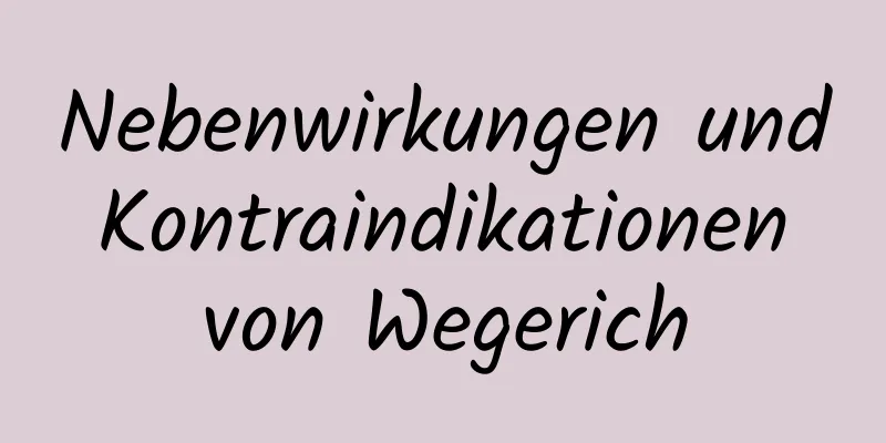 Nebenwirkungen und Kontraindikationen von Wegerich