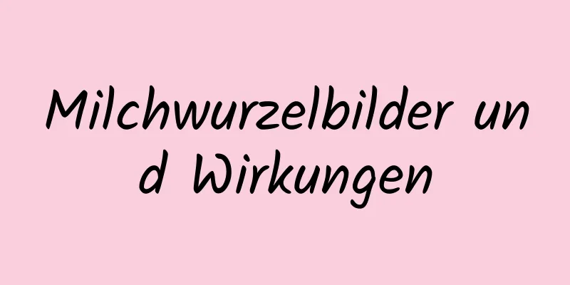 Milchwurzelbilder und Wirkungen