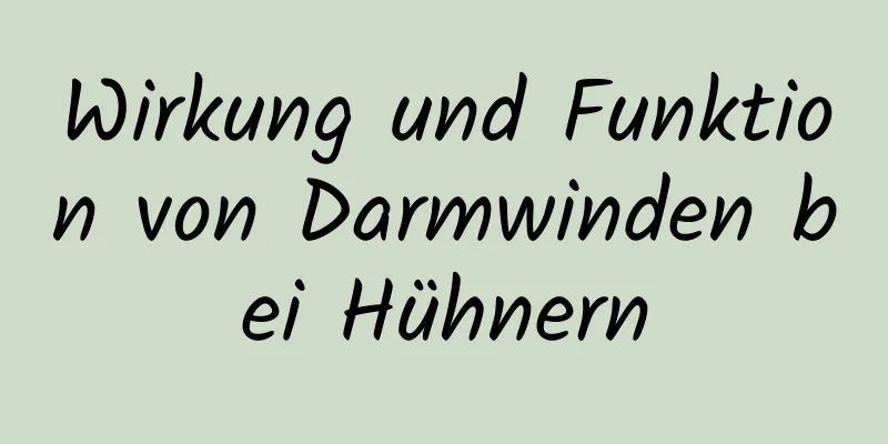 Wirkung und Funktion von Darmwinden bei Hühnern