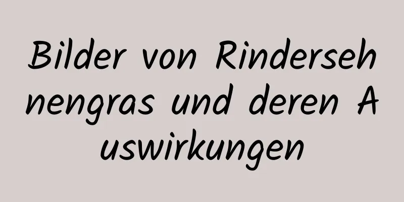 Bilder von Rindersehnengras und deren Auswirkungen