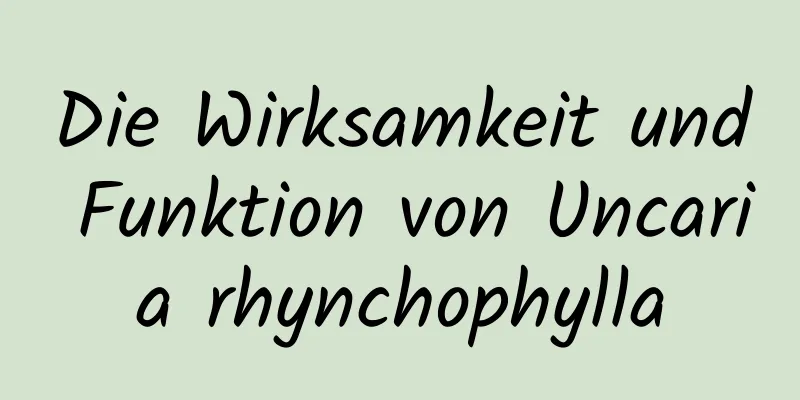 Die Wirksamkeit und Funktion von Uncaria rhynchophylla