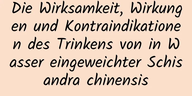 Die Wirksamkeit, Wirkungen und Kontraindikationen des Trinkens von in Wasser eingeweichter Schisandra chinensis