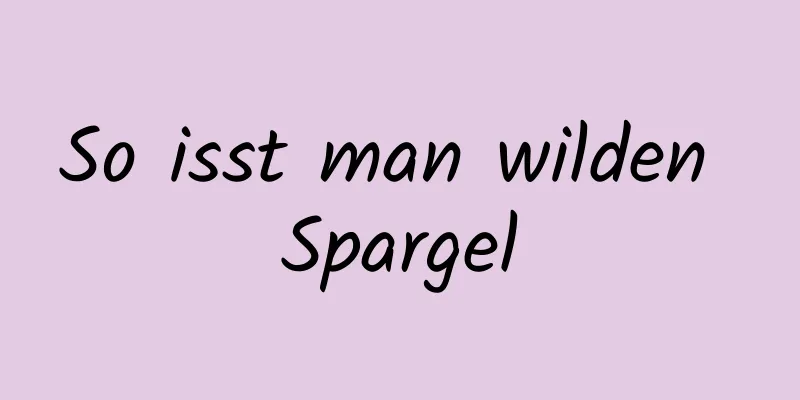 So isst man wilden Spargel