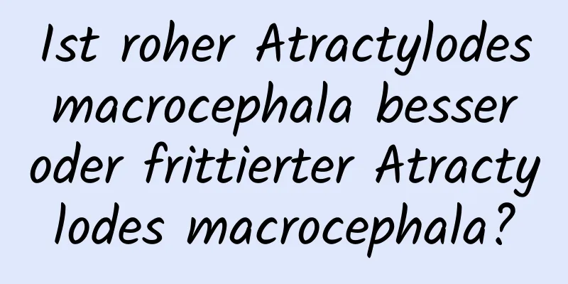 Ist roher Atractylodes macrocephala besser oder frittierter Atractylodes macrocephala?