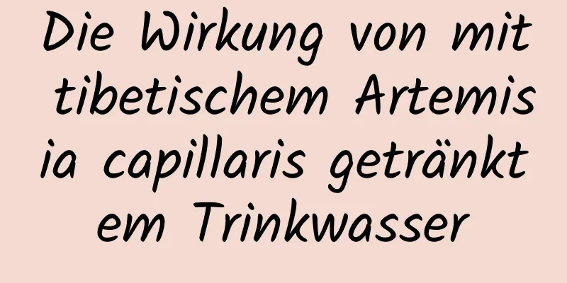 Die Wirkung von mit tibetischem Artemisia capillaris getränktem Trinkwasser