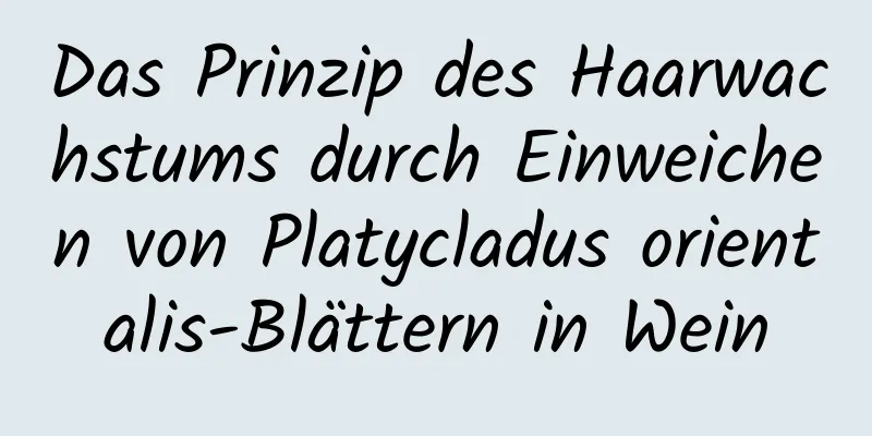 Das Prinzip des Haarwachstums durch Einweichen von Platycladus orientalis-Blättern in Wein