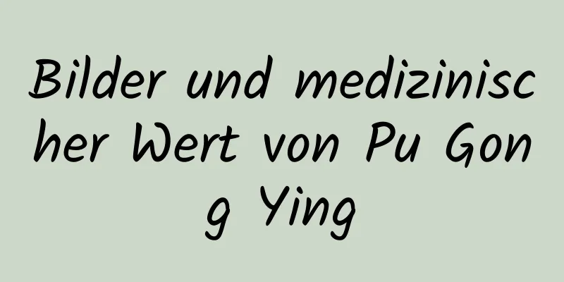 Bilder und medizinischer Wert von Pu Gong Ying