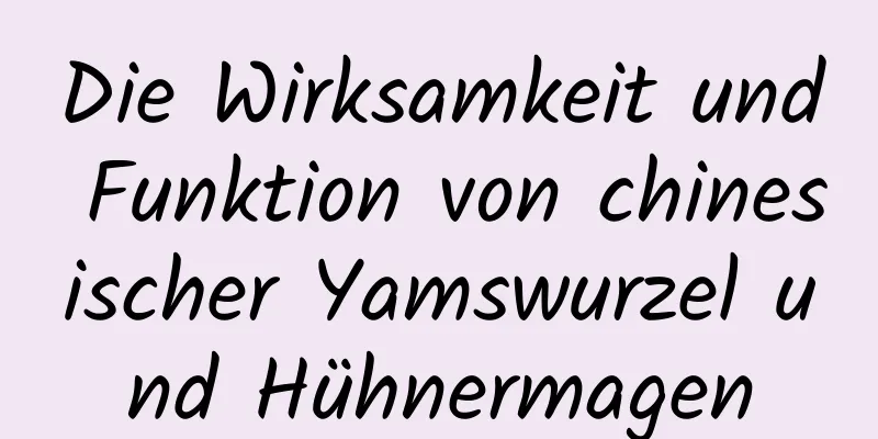 Die Wirksamkeit und Funktion von chinesischer Yamswurzel und Hühnermagen