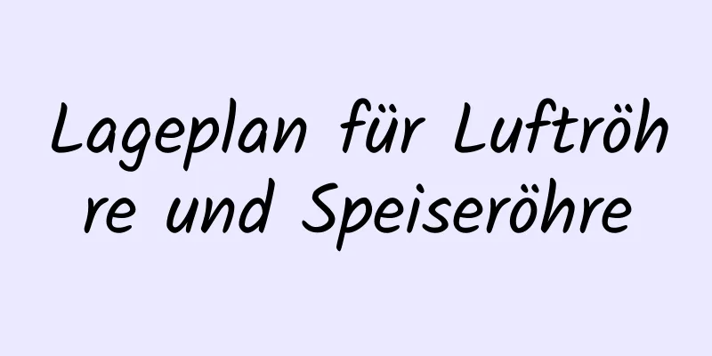 Lageplan für Luftröhre und Speiseröhre