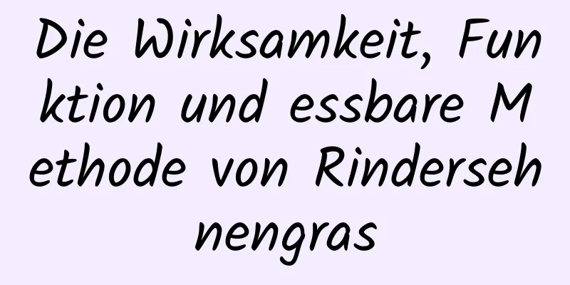 Die Wirksamkeit, Funktion und essbare Methode von Rindersehnengras