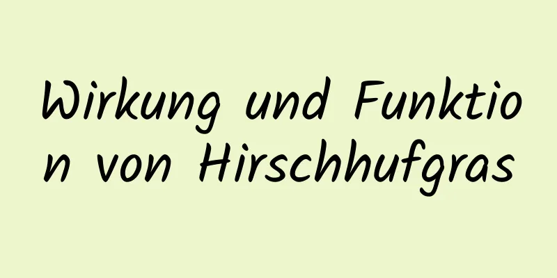 Wirkung und Funktion von Hirschhufgras