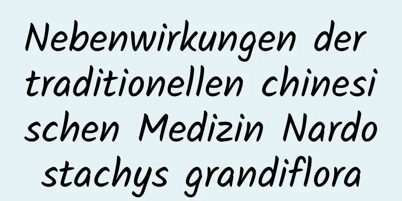 Nebenwirkungen der traditionellen chinesischen Medizin Nardostachys grandiflora