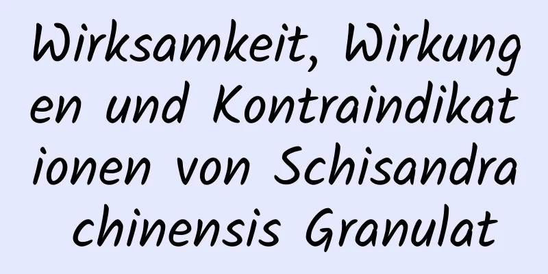 Wirksamkeit, Wirkungen und Kontraindikationen von Schisandra chinensis Granulat