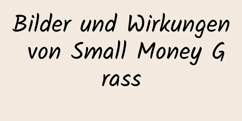 Bilder und Wirkungen von Small Money Grass