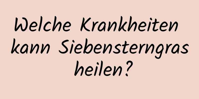 Welche Krankheiten kann Siebensterngras heilen?