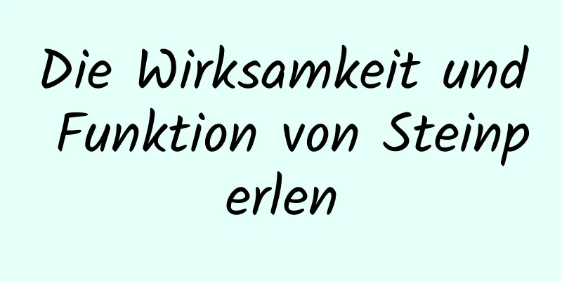 Die Wirksamkeit und Funktion von Steinperlen