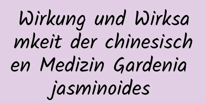 Wirkung und Wirksamkeit der chinesischen Medizin Gardenia jasminoides