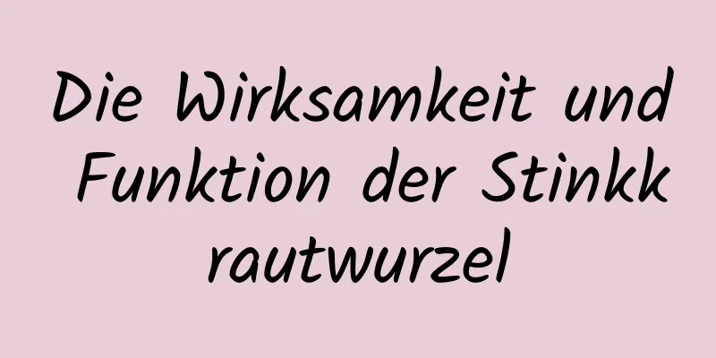 Die Wirksamkeit und Funktion der Stinkkrautwurzel