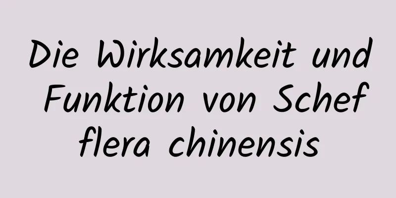 Die Wirksamkeit und Funktion von Schefflera chinensis