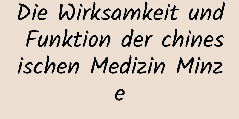 Die Wirksamkeit und Funktion der chinesischen Medizin Minze