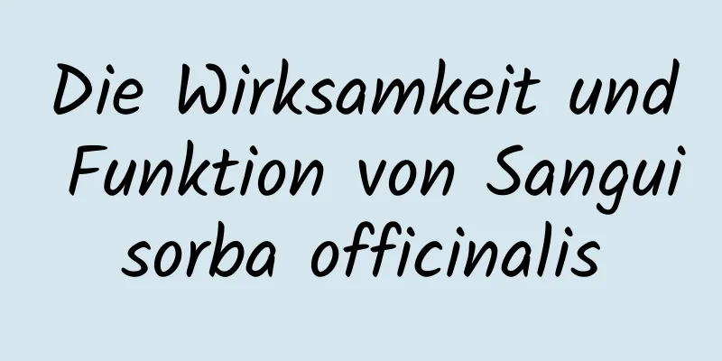 Die Wirksamkeit und Funktion von Sanguisorba officinalis