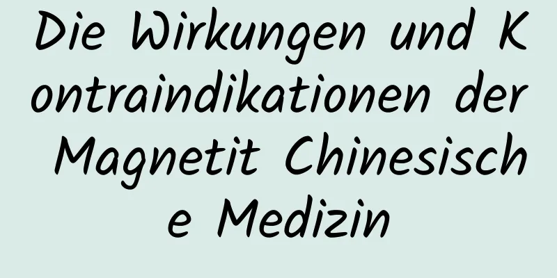 Die Wirkungen und Kontraindikationen der Magnetit Chinesische Medizin