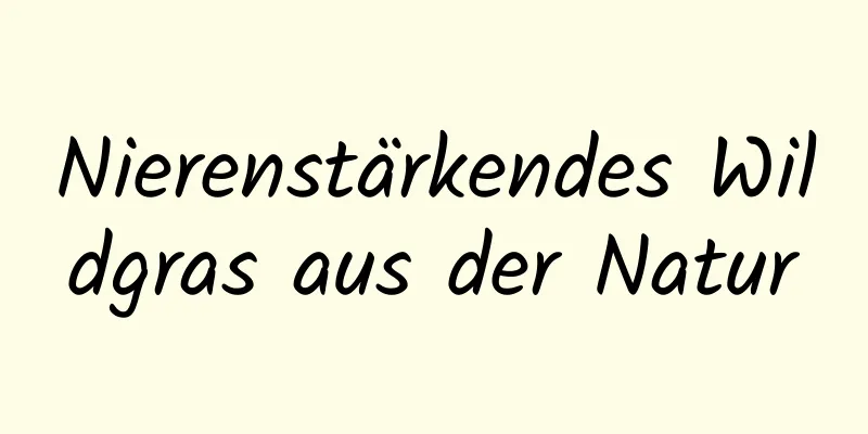 Nierenstärkendes Wildgras aus der Natur