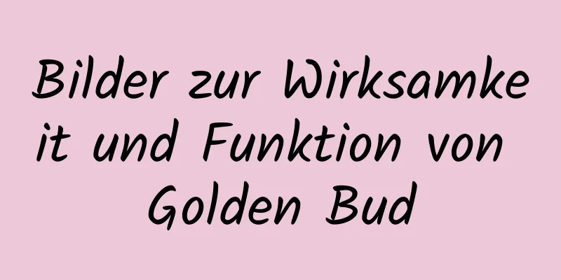 Bilder zur Wirksamkeit und Funktion von Golden Bud