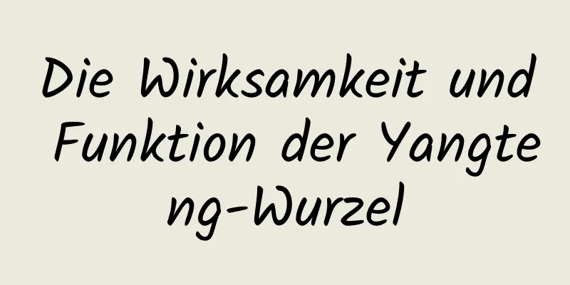 Die Wirksamkeit und Funktion der Yangteng-Wurzel