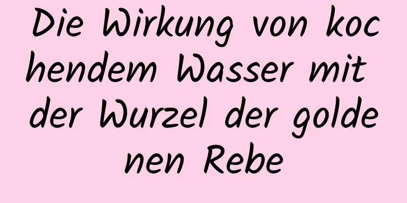 Die Wirkung von kochendem Wasser mit der Wurzel der goldenen Rebe