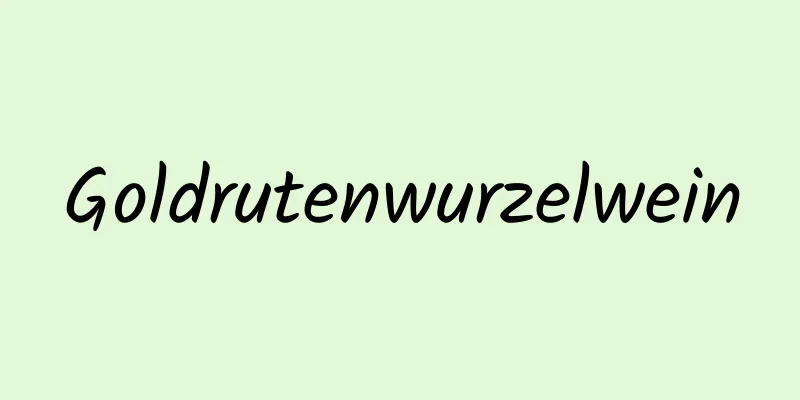 Goldrutenwurzelwein