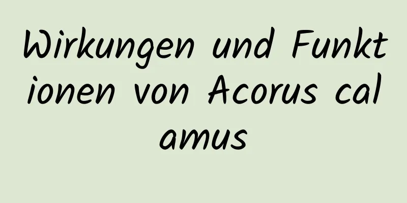 Wirkungen und Funktionen von Acorus calamus