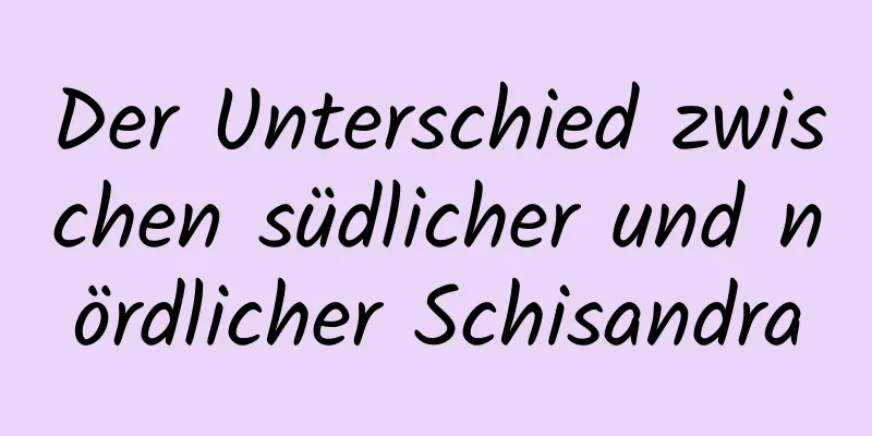 Der Unterschied zwischen südlicher und nördlicher Schisandra