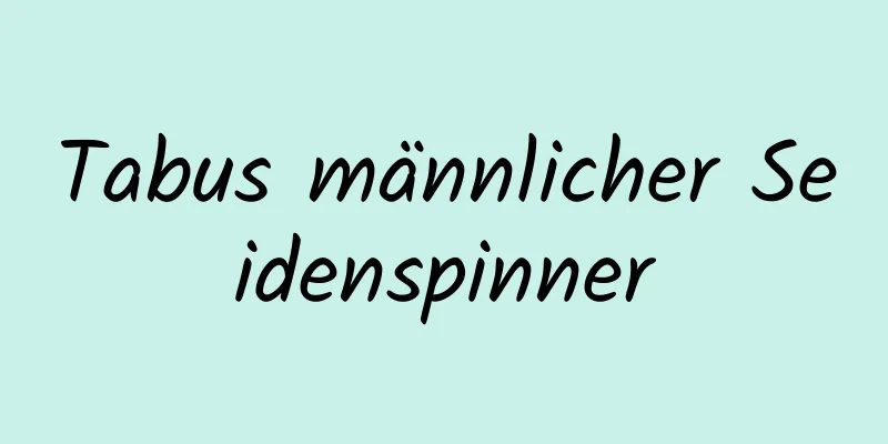 Tabus männlicher Seidenspinner