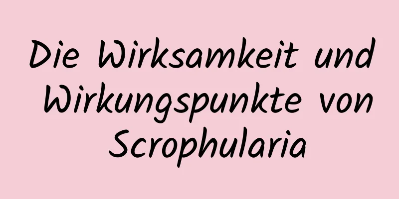 Die Wirksamkeit und Wirkungspunkte von Scrophularia