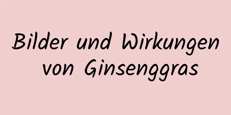 Bilder und Wirkungen von Ginsenggras