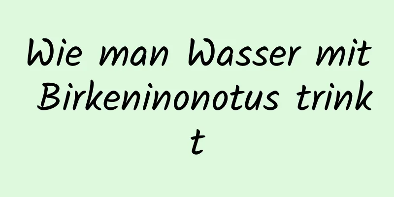 Wie man Wasser mit Birkeninonotus trinkt