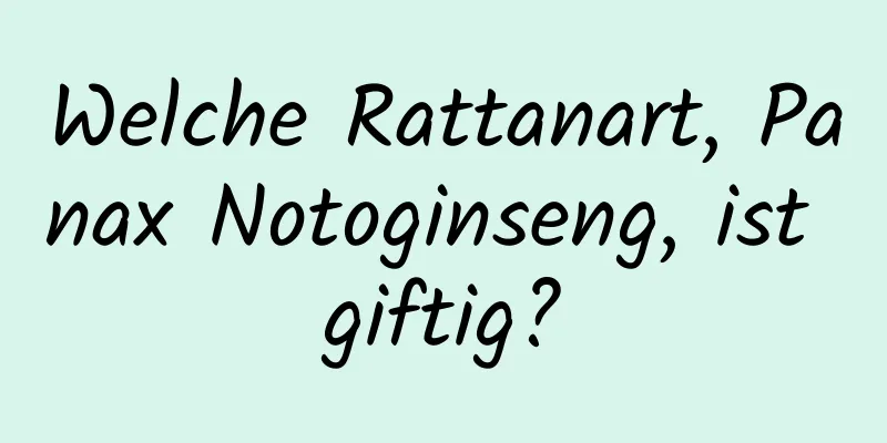 Welche Rattanart, Panax Notoginseng, ist giftig?