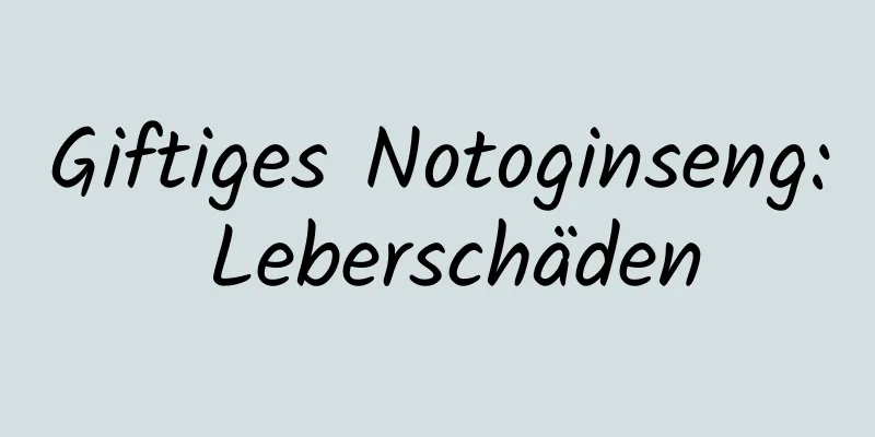 Giftiges Notoginseng: Leberschäden