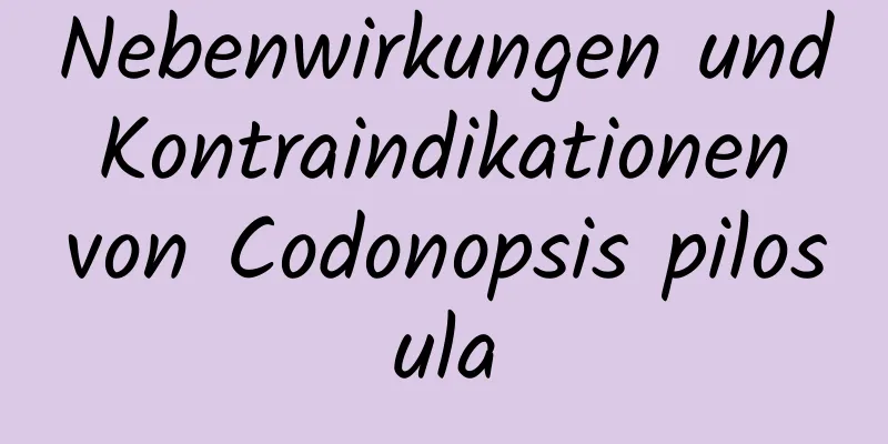 Nebenwirkungen und Kontraindikationen von Codonopsis pilosula