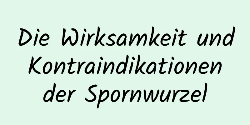 Die Wirksamkeit und Kontraindikationen der Spornwurzel