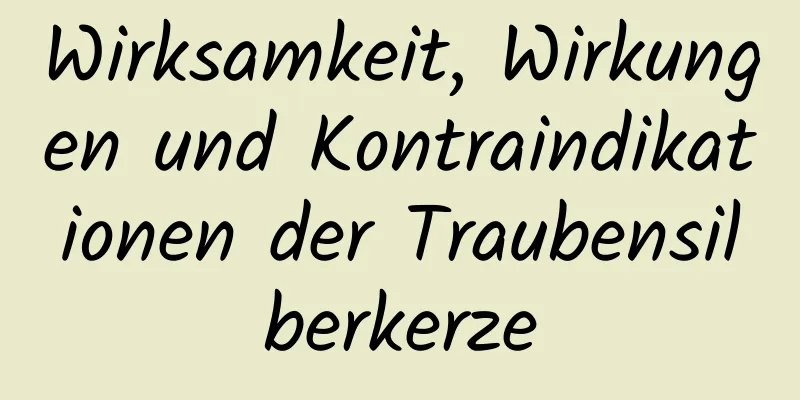 Wirksamkeit, Wirkungen und Kontraindikationen der Traubensilberkerze