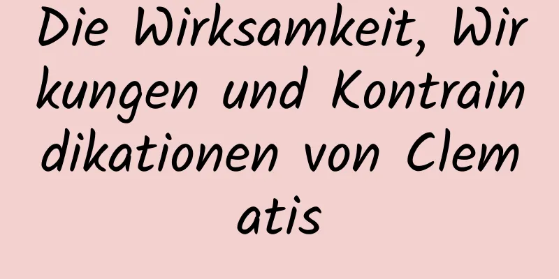 Die Wirksamkeit, Wirkungen und Kontraindikationen von Clematis