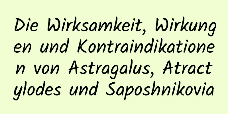 Die Wirksamkeit, Wirkungen und Kontraindikationen von Astragalus, Atractylodes und Saposhnikovia