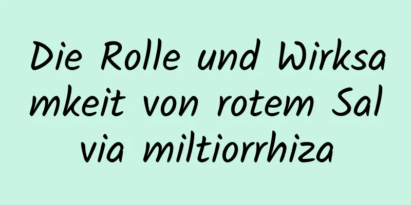 Die Rolle und Wirksamkeit von rotem Salvia miltiorrhiza