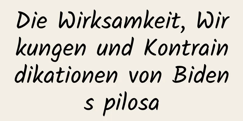 Die Wirksamkeit, Wirkungen und Kontraindikationen von Bidens pilosa