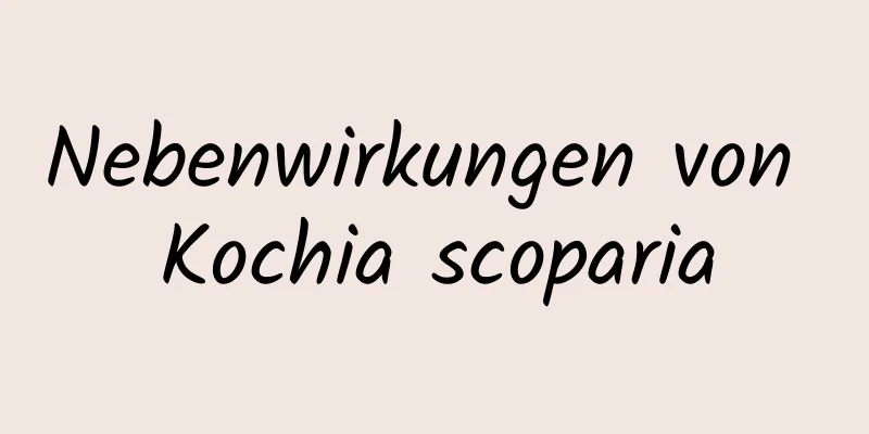 Nebenwirkungen von Kochia scoparia